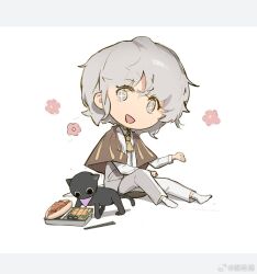 +_+ 1girl animalization ascot bento black_cat brown_ascot brown_capelet capelet cat chibi chinese_commentary chopsticks collared_shirt commentary_request corallo eyelashes flower grey_eyes grey_hair happy haru_(len&#039;en) lab_coat len&#039;en letterboxed long_sleeves looking_at_animal no_shoes open_mouth pants pink_flower pocket purple_scarf scarf shadow shirt shitodo_hoojiro short_hair sitting smile socks sparkling_eyes watermark weibo_watermark white_background white_pants white_shirt white_socks