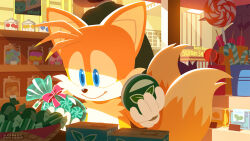 2020 big_the_cat blue_eyes candy candy_cane container day dessert faceless faceless_male food fox furry gloves holding holding_food indoors jar lollipop mint_(candy) official_art purple_fur sega smile solo_focus sonic_(series) sonic_adventure sonic_channel tails_(sonic) uno_yuuji watermark white_day white_fur window yellow_fur