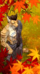 1boy abs animal_ears bara chest_tattoo chillasan commentary_request from_above furry furry_male highres japanese_clothes kimono leaf leopard_boy leopard_ears leopard_tail likulau_(nekojishi) male_focus maple_leaf maple_tree muscular muscular_male nekojishi pectorals snake_tattoo stomach_tattoo tail tattoo tree