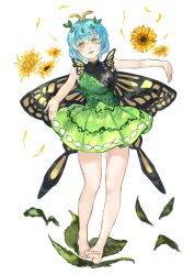 1girl :d antennae bare_arms barefoot black_dress black_wings blue_hair butterfly_wings commentary_request dress eternity_larva flower full_body gonglijeongli green_dress highres insect_wings leaf leaf_on_head open_mouth pleated_dress short_dress short_hair short_sleeves simple_background smile soles solo standing sunflower toes touhou white_background wings yellow_eyes yellow_wings