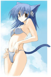 Rule 34 | 1girl, animal ears, bikini, blue hair, breasts, cat ears, cat tail, female focus, grey eyes, medium breasts, navel, seo tatsuya, sky, solo, swimsuit, tail