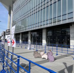 4th_live_dream_~bloom_the_dream_believers~ :3 ;3 animal animal_focus ao_kaeru black_choker cat choker commentary fujishima_megumi green_eyes hair_bun hashtag-only_commentary highres k-arena_yokohama link!_like!_love_live! long_hair looking_at_viewer love_live! no_humans one_eye_closed otomune_kozue outdoors photo_background pink_eyes purple_eyes side_ponytail single_side_bun sitting standing two_side_up virtual_youtuber yugiri_tsuzuri