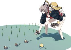 1girl animal azur_lane baby_animal bent_over bird black_choker black_jacket black_shorts breasts brown_hair cat chick choker cleavage hair_between_eyes hat hatski.sin high_ponytail highres holding holding_animal jacket jean_bart_(azur_lane) jewelry leaning_forward long_hair medium_breasts ponytail short_shorts shorts solo standing straw_hat swimsuit thighs wading water white_background