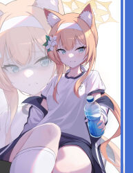 1girl animal_ear_fluff animal_ears black_jacket black_shorts blue_archive blue_eyes bottle cat_ears cat_girl commentary_request disgust dvleo flower frown glaring hair_flower hair_ornament halo highres holding holding_bottle jacket kneehighs long_hair long_sleeves looking_at_viewer mari_(blue_archive) mari_(track)_(blue_archive) off_shoulder orange_hair plastic_bottle shirt short_sleeves shorts sidelocks sitting smile socks solo t-shirt teeth track_jacket water_bottle white_shirt white_socks yellow_halo