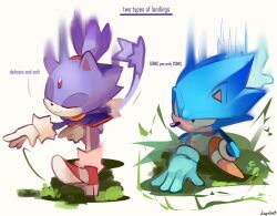 1boy 1girl absurdres animal_ears blaze_the_cat cat_ears cat_girl cat_tail closed_eyes commentary english_commentary english_text falling fur_trim furry furry_female furry_male gloves grin hedgehog_boy high_heels highres landing legochet looking_at_another motion_blur smile sonic_(series) sonic_the_hedgehog sonic_the_hedgehog_(classic) tail