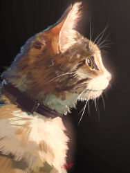 absurdres animal animal_collar animal_focus artist_name black_background cat collar commentary_request from_side highres no_humans original realistic signature smile_(qd4nsvik) whiskers