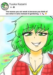 1girl breasts cleavage english_text flower green_eyes green_hair highres kazami_yuuka looking_at_viewer medium_breasts plaid_clothes plaid_vest smile tomino&#039;s_hell touhou vest