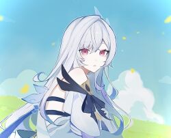 Rule 34 | 1girl, blue sky, bug, butterfly, cloud, detached sleeves, dress, genshin impact, grass, grey hair, hair intakes, highres, insect, ji tyan429, long hair, red eyes, ringed eyes, skirk (genshin impact), sky, solo, upper body, white dress