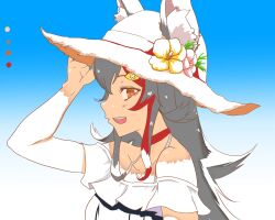 Rule 34 | 1girl, :d, animal ear fluff, animal ears, bare shoulders, black hair, blue background, choker, color guide, flower, from side, gradient background, hair ornament, hairclip, hand on headwear, hat, hat flower, highres, hololive, holonatsu paradise, long hair, looking at viewer, multicolored hair, off shoulder, official alternate costume, ookami mio, ookami mio (holonatsu paradise), open mouth, partially colored, profile, red choker, red hair, roppako, simple background, smile, solo, streaked hair, sun hat, upper body, virtual youtuber, wolf ears, wolf girl