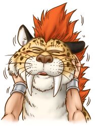 1boy borongo bracelet closed_eyes commentary_request creature creature_focus dragon_quest dragon_quest_v great_sabrecat hero_(dq5) highres jewelry motion_lines murakami_yumiko muscular muscular_male petting pov red_fur sharp_teeth spotted_fur teeth tongue whiskers white_background white_fur yellow_fur