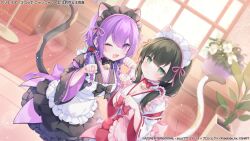 2girls ;d animal_ears apron arms_up assault_lily back_bow bell black_bow black_bowtie black_dress black_hair blunt_bangs blurry blurry_background blush bow bowtie braid breasts cat_ears cat_tail cleavage closed_mouth collar commentary_request cowboy_shot day dress dress_bow dutch_angle fake_animal_ears fake_tail frilled_apron frilled_collar frilled_dress frilled_hair_tubes frills green_eyes hair_between_eyes hair_over_shoulder hair_ribbon hair_tubes highres indoors jewelry jingle_bell komachi_pochi layered_dress light_particles long_hair long_sleeves looking_at_viewer low_ponytail low_twin_braids low_twintails maid_headdress medium_breasts multiple_girls neck_bell official_alternate_costume official_art one_eye_closed open_mouth paw_pose pink_apron pink_bow pink_ribbon plant ponytail potted_plant purple_bow purple_eyes purple_hair red_bow red_bowtie red_dress ribbon ribbon-trimmed_sleeves ribbon_trim ring siblings side_ponytail sisters smile standing tail translation_request twin_braids twintails two-tone_dress wang_lifen wang_yujia watermark white_apron white_collar white_dress wide_sleeves window wooden_floor