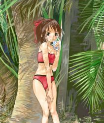1girl bikini blush brown_hair can es es_(cah60700) female_focus flat_chest long_hair original red_bikini ribbon solo swimsuit tree