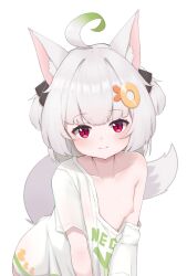 1girl aged_down ahoge animal_ear_fluff animal_ears breasts collarbone fourierkaeru fox_ears fox_girl fox_tail green_hair highres indie_virtual_youtuber kamonegi_(vtuber) loli looking_at_viewer medium_hair multicolored_hair nipples no_bra one_breast_out oversized_clothes oversized_shirt red_eyes see-through_clothes shirt simple_background single_bare_shoulder single_off_shoulder small_breasts smile tail two-tone_hair two_side_up virtual_youtuber white_background white_hair white_shirt