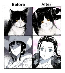 Rule 34 | 1girl, :3, angry, before and after, black cat, black hair, blue eyes, blunt bangs, cat, closed mouth, cowboy hat, happy, hat, highres, long hair, looking at viewer, looking down, looking up, multiple expressions, nico robin, one piece, saran w rap, shaded face, simple background, spot color, upper body, white background, yellow eyes