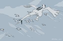 bird black_eyes closed_mouth creatures_(company) flying from_above game_freak gen_2_pokemon gen_3_pokemon highres kahan_0004 legendary_pokemon looking_back lugia nintendo no_humans pokemon pokemon_(creature) twitter_username watermark wingull