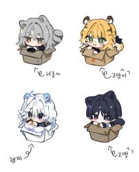 acorn ahoge animal_ears animal_print aqua_eyes black_eyes black_gloves black_hair black_sleeves blonde_hair blue_eyes blue_hair blue_sleeves blunt_bangs blunt_ends blush bow box brown_hair cardboard_box cat_boy cat_girl cat_print cat_tail colored_inner_hair fang food_print fruit_print furina_(genshin_impact) genshin_impact gimmunyag gloves grey_hair hair_between_eyes hair_intakes heart heart_print heterochromia highres honkai:_star_rail honkai_(series) in-franchise_crossover in_box in_container ju_fufu korean_text layered_sleeves long_hair looking_to_the_side multicolored_hair no_mouth open_mouth orange_print purple_bow purple_eyes raccoon_ears raccoon_tail scaramouche_(genshin_impact) shirt sparkling_eyes squirrel_ears squirrel_girl stelle_(honkai:_star_rail) streaked_hair swept_bangs tail tail_bow tail_ornament tiger_ears tiger_girl tiger_tail trailblazer_(honkai:_star_rail) translation_request wanderer_(genshin_impact) white_background white_hair white_sleeves wispy_bangs yellow_eyes yellow_pupils yellow_shirt zenless_zone_zero