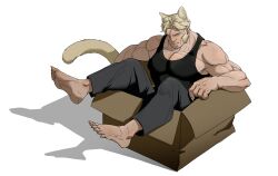 1boy animal_ears bara barefoot black_tank_top blonde_hair box cat_boy cat_ears claws commentary extra_ears highres in_box in_container long_sideburns male_focus marvel pectoral_cleavage pectorals sabertooth_(x-men) short_hair sideburns simple_background solo tail tank_top white_background x-men y38737
