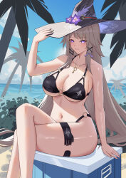 1girl absurdres alternate_breast_size beach bikini black_bikini blue_sky breasts brown_hair cleavage commentary_request cooler crossed_legs hat herta_(honkai:_star_rail) highres honkai:_star_rail honkai_(series) huanyueyuhua jewelry key key_necklace large_breasts long_hair navel necklace ocean outdoors palm_tree purple_eyes sitting sitting_on_object sky solo stomach swimsuit the_herta_(honkai:_star_rail) tree very_long_hair water witch_hat