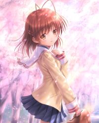 Rule 34 | 1girl, antenna hair, bag, blue skirt, brown eyes, brown hair, cherry blossoms, clannad, commentary request, cowboy shot, furukawa nagisa, goto p, hikarizaka private high school uniform, jacket, pleated skirt, sailor collar, school bag, school uniform, serafuku, short hair, skirt, solo, white sailor collar, yellow jacket