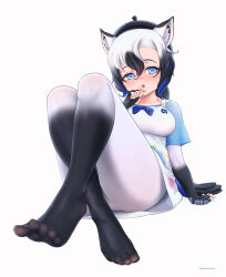 1girl animal_ears apron beleven beret black_gloves black_hair black_hat black_pantyhose blue_eyes blue_hair blue_shirt blush elbow_gloves fingerless_gloves gloves gradient_gloves gradient_pantyhose grey_hair hair_between_eyes hat highres horse_ears horse_girl horse_tail japari_symbol kemono_friends looking_at_viewer multicolored_hair no_shoes paint_stains panties pantyhose shirt short_hair short_sleeves sidelocks sitting solo t-shirt tail tarpan_(kemono_friends) underwear white_apron white_gloves white_hair white_panties