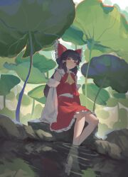 Rule 34 | 1girl, ascot, barefoot, black hair, blunt bangs, bow, capybara (trafficcone09), detached sleeves, frilled bow, frilled hair tubes, frills, hair bow, hair tubes, hakurei reimu, highres, leaf, long hair, outdoors, plant, red bow, red eyes, red skirt, ribbon trim, sitting, skirt, skirt set, solo, touhou, water, yellow ascot