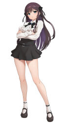 Rule 34 | 1girl, absurdres, alina clover, blush, braid, breasts, brown hair, center frills, collared shirt, crossed arms, frills, frown, full body, gibun (sozoshu), green eyes, guild no uketsukejou desu ga zangyou wa iya nanode boss wo solo toubatsu shiyou to omoimasu, hair ribbon, highres, large breasts, long hair, looking at viewer, mary janes, ribbon, shirt, shoes, side braid, skirt, socks, solo, thighs, very long hair