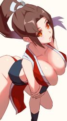 Rule 34 | 1girl, ass, bare shoulders, breasts, brown hair, cleavage, collarbone, fatal fury, female focus, highres, japanese clothes, large breasts, long hair, looking at viewer, pelvic curtain, ponytail, shiranui mai, simple background, snk, solo, the king of fighters, thighs, ura dora, white background