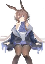 1girl absurdres amiya_(arknights) animal_ears arknights ascot bare_shoulders black_jacket blue_eyes brown_hair brown_pantyhose collar feet_out_of_frame hair_between_eyes head_tilt highres invisible_chair jacket jewelry legs long_hair long_sleeves looking_at_viewer making-of_available multiple_rings off_shoulder pantyhose parted_lips procreate_(medium) purple_ascot purple_collar reach_far_away_(viuooczy) ring shirt simple_background sitting sleeveless sleeveless_shirt solo white_background white_shirt