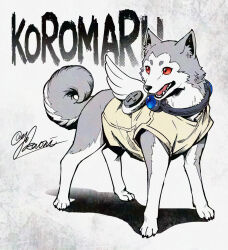 Rule 34 | 1boy, animal ears, character name, collar, commentary, dog, dog ears, dog nose, dog tail, fangs, grey fur, highres, koromaru (persona), looking to the side, open mouth, persona, persona 3, red eyes, signature, tail, wings, yokaroni
