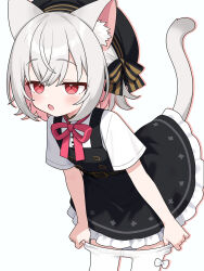 1girl animal_ear_fluff beret black_dress black_hat bow bow_legwear cat_girl cat_tail clothes_pull colored_inner_hair commentary_request cowboy_shot crotch_seam dot_nose dress fang frilled_dress frills grey_hair hat highres leaning_forward multicolored_hair neck_ribbon pantyhose pantyhose_pull parted_lips pinafore_dress pink_hair red_eyes red_ribbon ribbon sayo_(voicevox) shirt short_hair short_sleeves skin_fang sleeveless sleeveless_dress solo suuchi_maigo_(nan) tail undressing voicevox white_bow white_pantyhose white_shirt