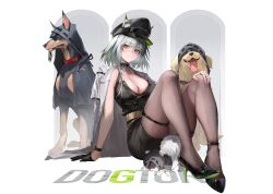 1girl absurdres alternate_costume animal animal_ears ankle_strap arknights arms_behind_back black_coat black_dress black_gloves black_hat black_pantyhose blush breasts cat_ears cat_girl cleavage clothed_animal coat coat_on_shoulders dog dress ears_through_headwear expressionless frown full_body gloves green_eyes green_hair hand_on_own_knee hat high_heels highres kal&#039;tsit_(arknights) knees_apart_feet_together knees_up looking_at_viewer medium_breasts medium_hair open_clothes open_coat pantyhose sitting skindentation sleeveless sleeveless_dress solo tabayashi thigh_strap thighs