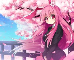 1girl :c animal_ears blue_sky blush breasts cherry_blossoms day female_focus fence flower frown hair_flower hair_ornament hototogisu_(hot_to_gis) impossible_clothes jacket large_breasts long_hair looking_at_viewer necktie petals pink_eyes pink_hair rabbit_ears reisen_udongein_inaba shirt skirt sky solo touhou tree v_arms very_long_hair wind