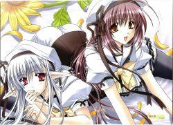 00s 2girls albino brown_eyes highres lisianthus multiple_girls nerine pointy_ears purple_hair red_eyes ryuuga_shou scan school_uniform serafuku shuffle! thighhighs white_hair