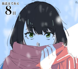 Rule 34 | 1girl, black hair, green eyes, han song-yi, highres, korean commentary, looking at viewer, mole, mole under eye, official art, scarf, sidelighting, snowing, solo, solo leveling