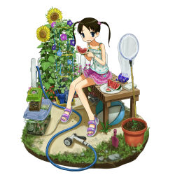 1girl anbiyori bad_id bad_twitter_id ball blue_eyes blue_flower blush bracelet butterfly_net camisole diorama fence fish fish_tank flower flower_pot food food_on_face fruit grass hair_ornament hand_net handheld_game_console highres hose hose_nozzle bug_cage jewelry layered_skirt morning_glory nintendo_ds open_mouth original pink_skirt plant plate potted_plant purple_flower purple_sandals rhinoceros_beetle rock sandals simple_background sitting skirt solo spaghetti_strap sunflower trowel twintails watermelon watermelon_slice white_background