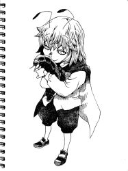 1girl antennae bug cape closed_mouth commentary_request full_body greyscale holding holding_bug loafers long_sleeves looking_at_viewer monochrome onikobe_rin pantyhose shoes short_hair simple_background smile solo touhou two-sided_cape two-sided_fabric wriggle_nightbug