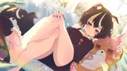 1girl animal_ear_fluff animal_ears bare_legs bare_shoulders barefoot black_hair black_shirt black_shorts blonde_hair blue_nails blurry blush breasts character_doll closed_mouth commission couch crossed_legs depth_of_field dog_ears dog_girl doll dutch_angle feet foot_focus hand_on_own_knee highres indoors looking_at_viewer multicolored_hair nail_polish off-shoulder_shirt off_shoulder on_couch original shiro9jira shirt short_hair short_shorts shorts sitting skeb_commission smile soles solo streaked_hair stuffed_animal stuffed_dog stuffed_toy thick_eyebrows toenail_polish toenails toes white_hair window