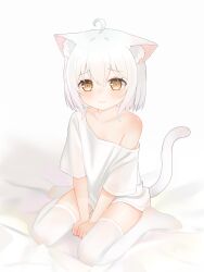1girl absurdres animal_ear_fluff animal_ears between_legs cat_ears cat_girl cat_tail frown full_body hand_between_legs highres no_pants off_shoulder original shirt short_hair short_sleeves simple_background sitting tail thighhighs wariza white_background white_hair white_shirt white_thighhighs yellow_eyes zhai_mi_xing_hui