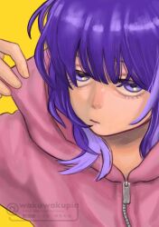Rule 34 | 1girl, :|, closed mouth, commentary, fujii ayame, futsuu no keion-bu, hand up, highres, hood, hood down, hooded jacket, jacket, jitome, pink jacket, portrait, purple eyes, purple hair, simple background, solo, twitter username, wakuwakupig, watermark, yellow background, zipper pull tab