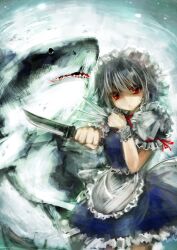 Rule 34 | 1girl, animal, apron, between fingers, blue dress, dress, frilled cuffs, frilled skirt, frilled sleeves, frills, grey hair, highres, holding, holding knife, izayoi sakuya, knife, knives between fingers, lokijuhyd, looking at viewer, maid, maid apron, maid headdress, red eyes, red ribbon, reverse grip, ribbon, shark, short hair, skirt, solo, touhou, waist apron