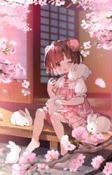 1girl animal animal_on_lap animal_on_shoulder architecture artist_name barefoot black_eyes black_hair branch bun_cover cherry_blossoms child cobblestone commentary double_bun dress east_asian_architecture falling_petals feet flower frilled_sleeves frills full_body hair_bun highres house jiangshi kuroda_(kuro_yyy) looking_at_animal ofuda on_lap one_eye_closed open_mouth original outdoors pet petals petting pink_dress pink_flower pink_petals pleated_dress porch puffy_short_sleeves puffy_sleeves rabbit red_eyes rei_(kuroda_(kuro_yyy)) short_hair short_sleeves signature sitting solo teeth toes upper_teeth_only white_rabbit_(animal)