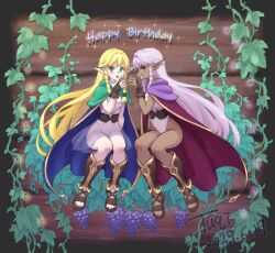 Rule 34 | 2girls, blonde hair, blue cape, braid, cape, capelet, character name, commentary request, dark-skinned female, dark elf, dark skin, elf, eltolinde (unicorn overlord), english text, gold trim, green capelet, green eyes, happy birthday, highleg, highleg leotard, invisible chair, leotard, long hair, multiple girls, pink hair, pointy ears, profile, purple cape, purple capelet, red eyes, rosalinde (unicorn overlord), sandals, see-through clothes, see-through skirt, siblings, signature, sisters, sitting, skirt, smile, toes, tuqi pix, twin braids, twins, unicorn overlord, white leotard