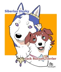 Rule 34 | closed mouth, commentary request, dog, husky, jack russell terrier, mejiro ardan (umamusume), mejiro bright (umamusume), no humans, onikobe rin, open mouth, orange background, simple background, smile, umamusume, upper body, white background