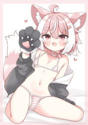 1girl :d absurdres animal_ears animal_hands arm_support bikini bikini_under_clothes black_jacket border borrowed_character breasts claw_pose collar fang full_body gloves highres jacket long_sleeves looking_at_viewer minato_yu_(0514) multicolored_hair navel off_shoulder open_clothes open_jacket open_mouth original paw_gloves pink_border pink_eyes pink_hair short_hair simple_background sitting skin_fang small_breasts smile stomach striped_bikini striped_clothes swimsuit tail two-tone_hair white_background white_hair wolf_ears wolf_girl wolf_tail