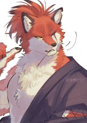 1boy aizawa_(nh_st) body_fur claws furry furry_male hand_up highres japanese_clothes kimono looking_at_viewer male_focus mouth_hold one_eye_closed original red_fur red_hair scar scar_across_eye scar_on_face short_hair simple_background single_sleeve solo stalk_in_mouth toned toned_male upper_body white_background wolf_boy yellow_eyes
