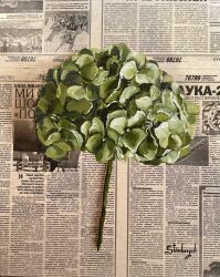 absurdres flower green_flower highres hydrangea julia_stankevych leaf newspaper no_humans oil_painting_(medium) original painting_(medium) photo_(medium) realistic signature still_life traditional_media wall_of_text