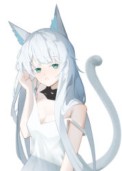 1girl absurdres animal_ear_fluff animal_ears arknights bare_shoulders breasts bright_pupils cleavage colored_eyelashes commentary dress green_eyes grey_tail hachimin8_(shrine_kyo) highres long_hair medium_breasts parted_lips rosmontis_(arknights) simple_background solo spaghetti_strap strap_slip tail tail_raised white_background white_dress white_hair white_pupils