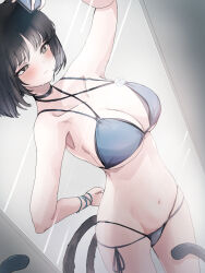 1girl bare_arms bare_shoulders bikini black_hair blue_archive blue_bikini breasts cat_girl cat_tail cellphone cleavage grey_eyes highres holding holding_phone kikyou_(blue_archive) kikyou_(swimsuit)_(blue_archive) komena_(shinyday312) large_breasts mirror_selfie multiple_tails navel official_alternate_costume phone selfie smartphone solo stomach swimsuit tail two_tails