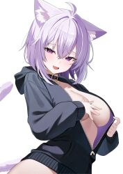 1girl absurdres animal_ears black_collar black_jacket breasts cat_ears cat_girl cat_tail collar hair_between_eyes highres hololive hood hooded_jacket jacket large_breasts long_sleeves looking_at_viewer nannung nekomata_okayu open_clothes open_jacket open_mouth purple_eyes purple_hair short_hair simple_background smile solo tail virtual_youtuber white_background zipper