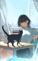 1girl absurdres black_cat black_hair blue_sky cat classroom crossed_legs curtains earrings han_sooyoung highres indoors jewelry light_particles looking_at_animal omniscient_reader&#039;s_viewpoint on_chair open_window paper pen_in_mouth short_hair sitting sky skyline solo sparkle stud_earrings tack_ka_2_0 upper_body window yellow_eyes